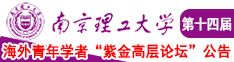 大吊艹小逼南京理工大学第十四届海外青年学者紫金论坛诚邀海内外英才！